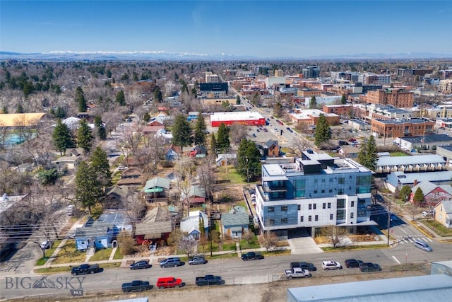 113 S Wallace Ave, Bozeman, MT 59715