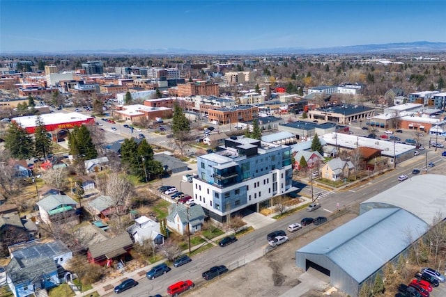 113 S Wallace Ave, Bozeman, MT 59715