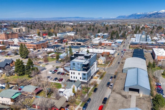 113 S Wallace Ave, Bozeman, MT 59715