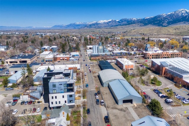 113 S Wallace Ave, Bozeman, MT 59715