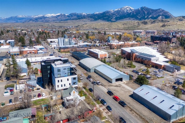 113 S Wallace Ave, Bozeman, MT 59715