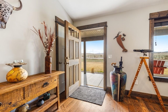 foyer featuring a wealth of natural light, wood finished floors, and baseboards