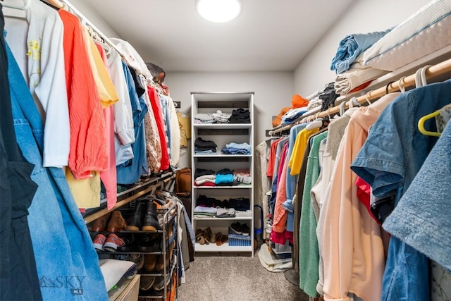 137 Horizon Loop, Three Forks, MT 59752 - walk in closet featuring carpet
