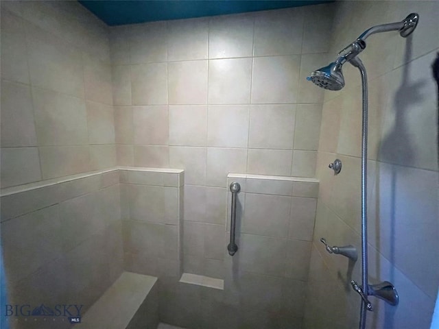 719 Jefferson St, Ennis, MT 59729 - full bath with tiled shower
