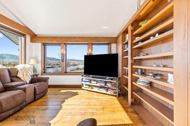 living area featuring wood finished floors