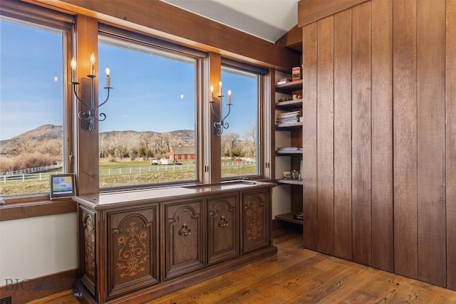 interior space featuring wood finished floors and a mountain view
