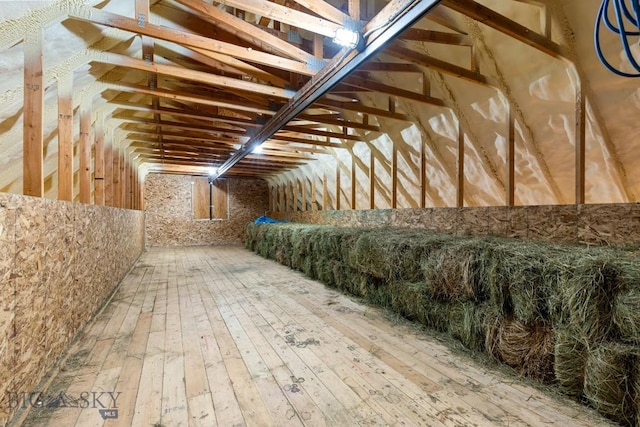 view of attic