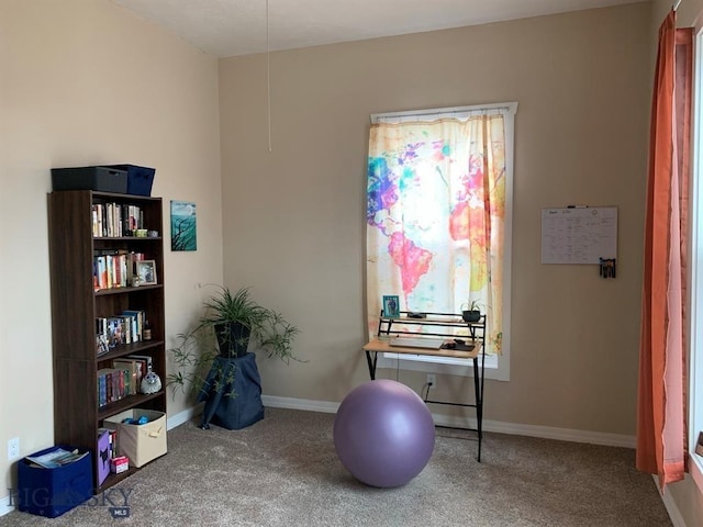 interior space with baseboards and carpet floors