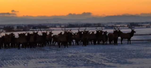 TBD Wes Davis Rd N, Belgrade, MT 59714