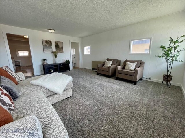 307 W Legion St, Whitehall, MT 59759 - carpeted living area featuring a textured ceiling and baseboards