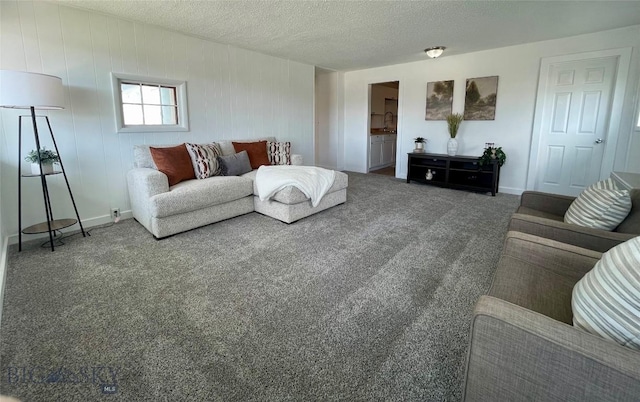 307 W Legion St, Whitehall, MT 59759 - carpeted living area featuring baseboards and a textured ceiling