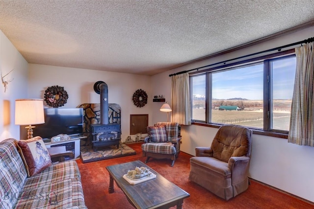 carpeted living room featuring a textured ceiling and a wood stove