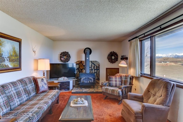 carpeted living area featuring a textured ceiling and a wood stove