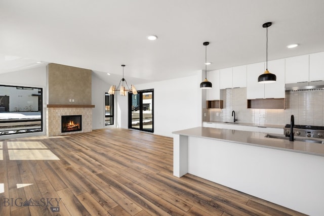 kitchen featuring white cabinets, wood finished floors, and a sink