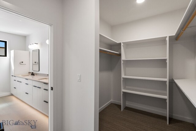 walk in closet with a sink