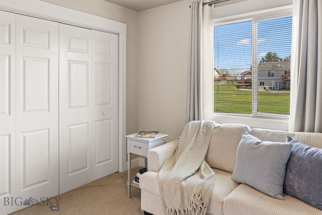 126 Pathfinder Trl, Bozeman, MT 59718 - living area featuring plenty of natural light and carpet flooring