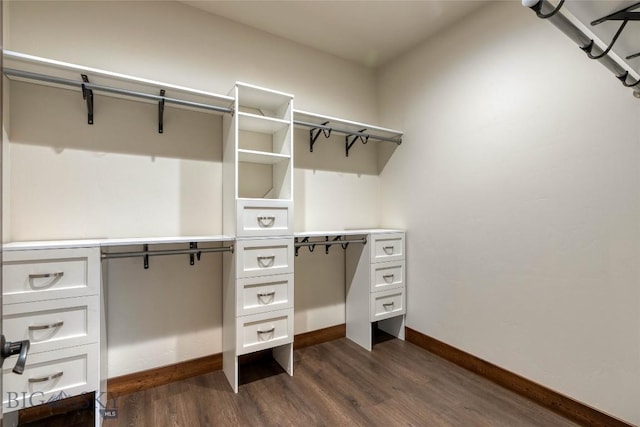 spacious closet featuring dark wood-type flooring