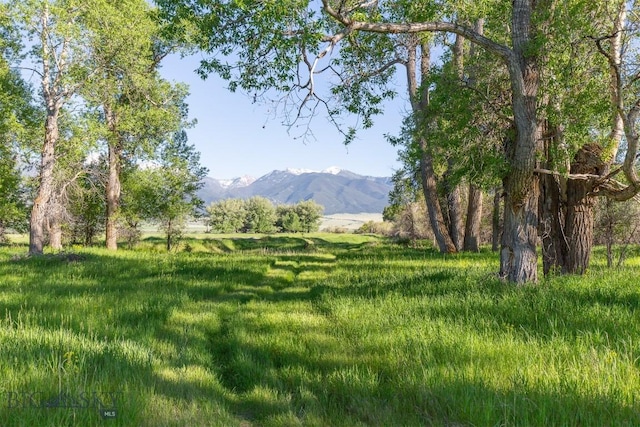 657 Waterloo Rd, Whitehall, MT 59759 - view of mountain background with rural landscape