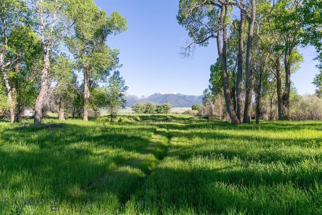 657 Waterloo Rd, Whitehall, MT 59759 - view of yard featuring a mountain view and a view of countryside