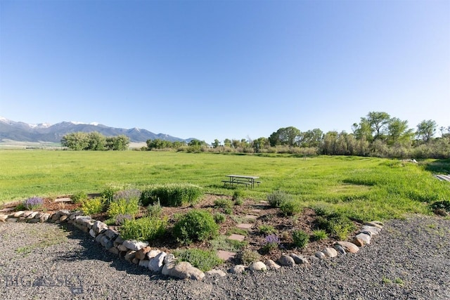 657 Waterloo Rd, Whitehall, MT 59759 - view of yard with a mountain view and a view of rural / pastoral area