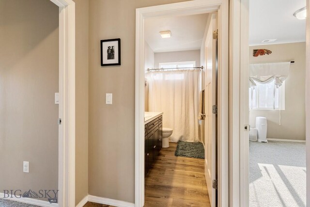 5525 May Fly St, Bozeman, MT 59718 - photo 29