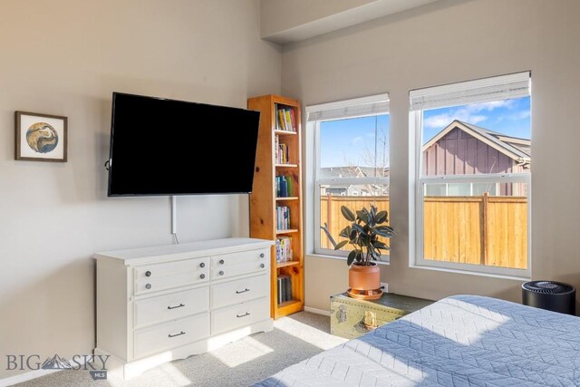 5525 May Fly St, Bozeman, MT 59718 - photo 32