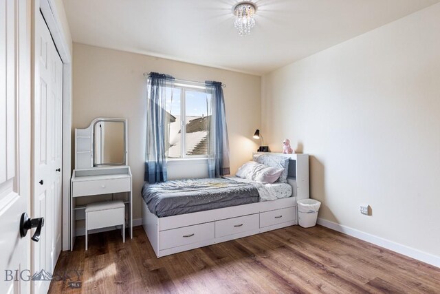 250 Jackson Ln, Belgrade, MT 59714 - bedroom with wood finished floors, a closet, and baseboards