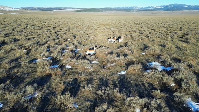 30 Pond Rd, Cameron, MT 59720