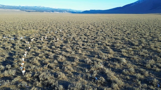 30 Pond Rd, Cameron, MT 59720