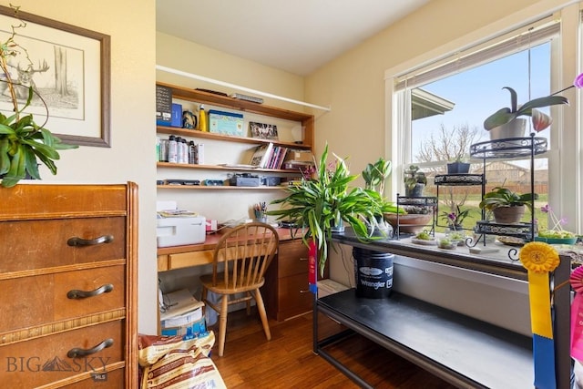 office space featuring wood finished floors