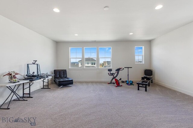 1508 Deadwood Loop, Belgrade, MT 59714 - recreation room featuring carpet flooring, recessed lighting, and baseboards