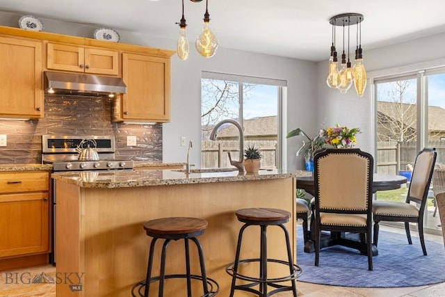 1708 Drummond Blvd, Belgrade, MT 59714 - kitchen with under cabinet range hood, plenty of natural light, range, and tasteful backsplash