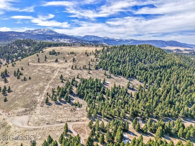 LOT19 S Sun W Rd, Cameron, MT 59720 - photo 2