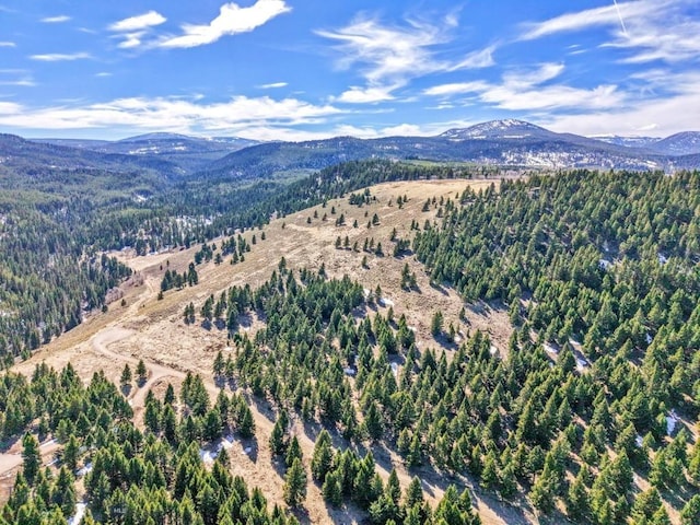 LOT19 S Sun W Rd, Cameron, MT 59720 - photo 3