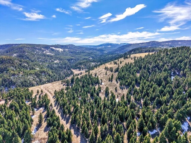 LOT19 S Sun W Rd, Cameron, MT 59720 - photo 4