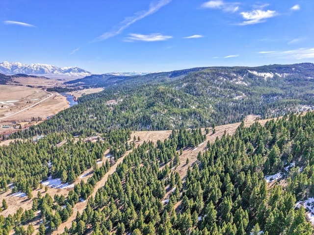LOT19 S Sun W Rd, Cameron, MT 59720 - photo 5