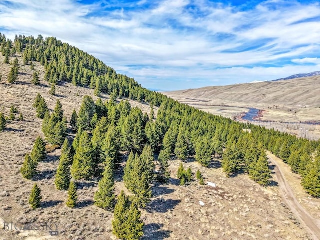 LOT19 S Sun W Rd, Cameron, MT 59720 - photo 12