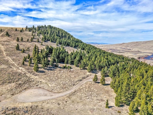 LOT19 S Sun W Rd, Cameron, MT 59720 - photo 13