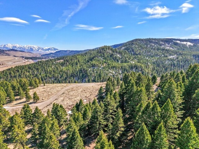 LOT19 S Sun W Rd, Cameron, MT 59720 - photo 18