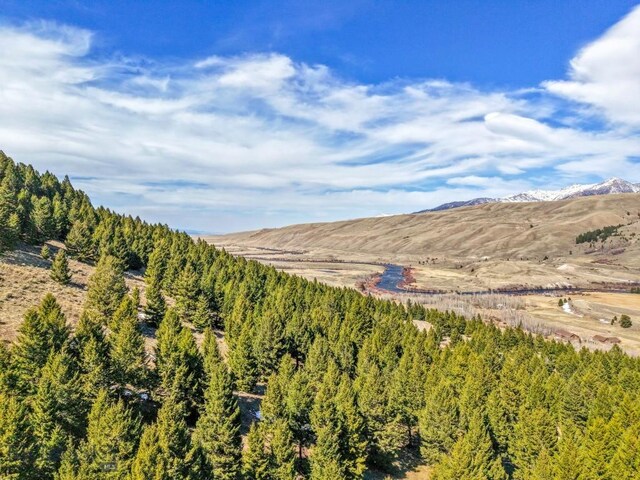 LOT19 S Sun W Rd, Cameron, MT 59720 - photo 19