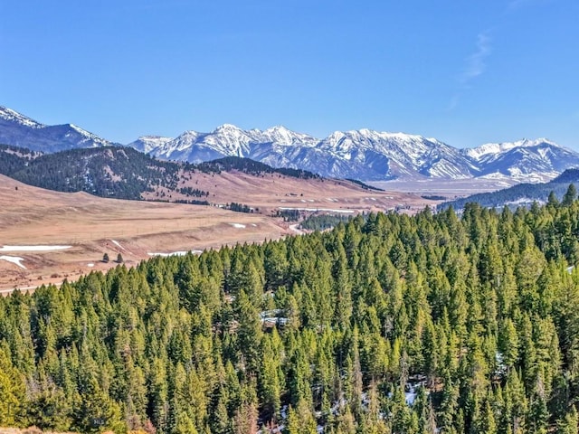 LOT19 S Sun W Rd, Cameron, MT 59720 - photo 21