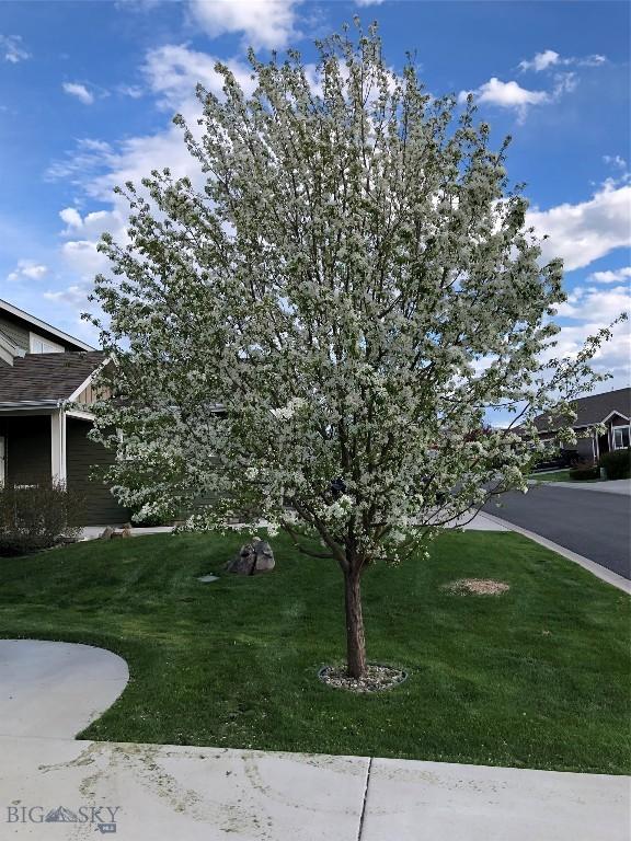 268 Pine Creek Dr, Bozeman, MT 59718 - view of yard