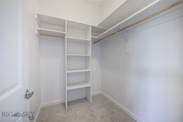 209 Pearl St, Ennis, MT 59729 - walk in closet with light carpet