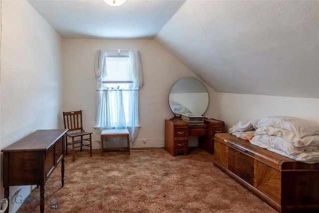 602 Harris, Big Timber, MT 59011 - interior space with lofted ceiling and carpet