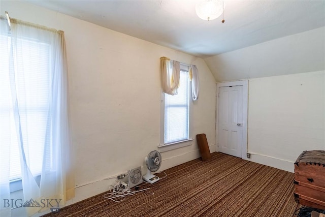 602 Harris, Big Timber, MT 59011 - additional living space with vaulted ceiling and carpet floors