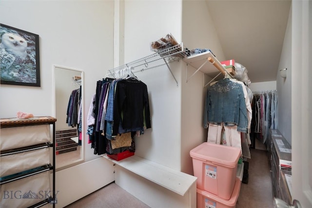 682 E River Rd, Pray, MT 59065 - walk in closet featuring carpet floors and vaulted ceiling