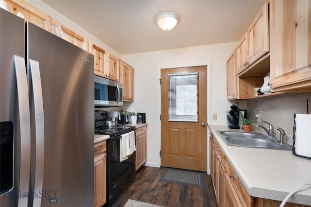 682 E River Rd, Pray, MT 59065 - kitchen featuring stainless steel appliances, a sink, dark wood-style floors, light countertops, and light brown cabinets
