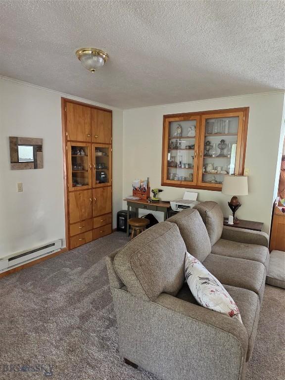 606 S Arizona, Dillon, MT 59725 - living area featuring carpet flooring, a textured ceiling, and a baseboard radiator