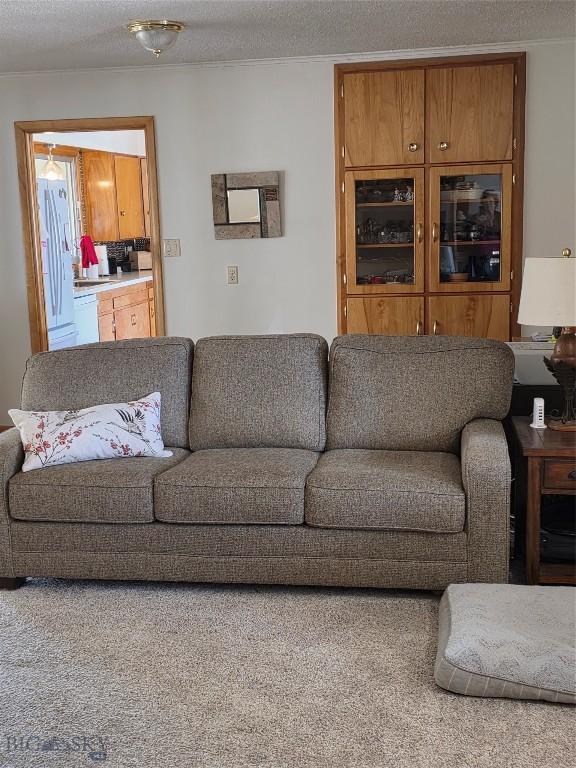 606 S Arizona, Dillon, MT 59725 - living area with a textured ceiling