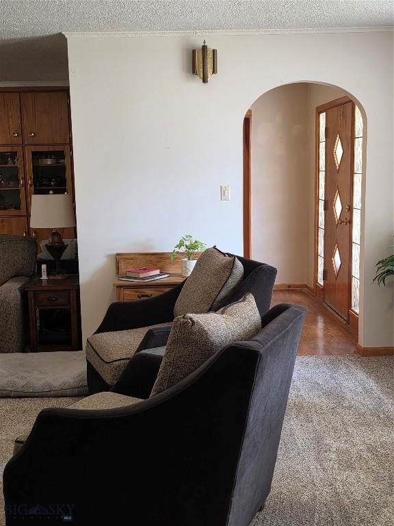 606 S Arizona, Dillon, MT 59725 - living room featuring arched walkways, light colored carpet, a textured ceiling, and baseboards